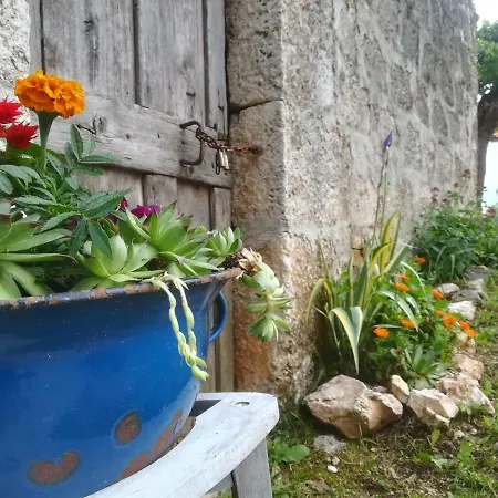 Πανσιόν Holiday Mislav