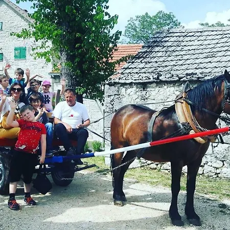 Holiday Mislav Πανσιόν